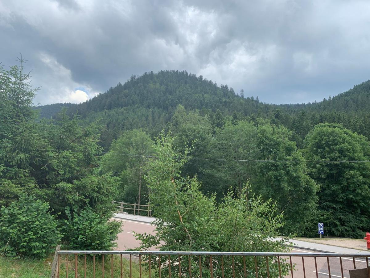 Gite De L'Ours La Bresse Esterno foto