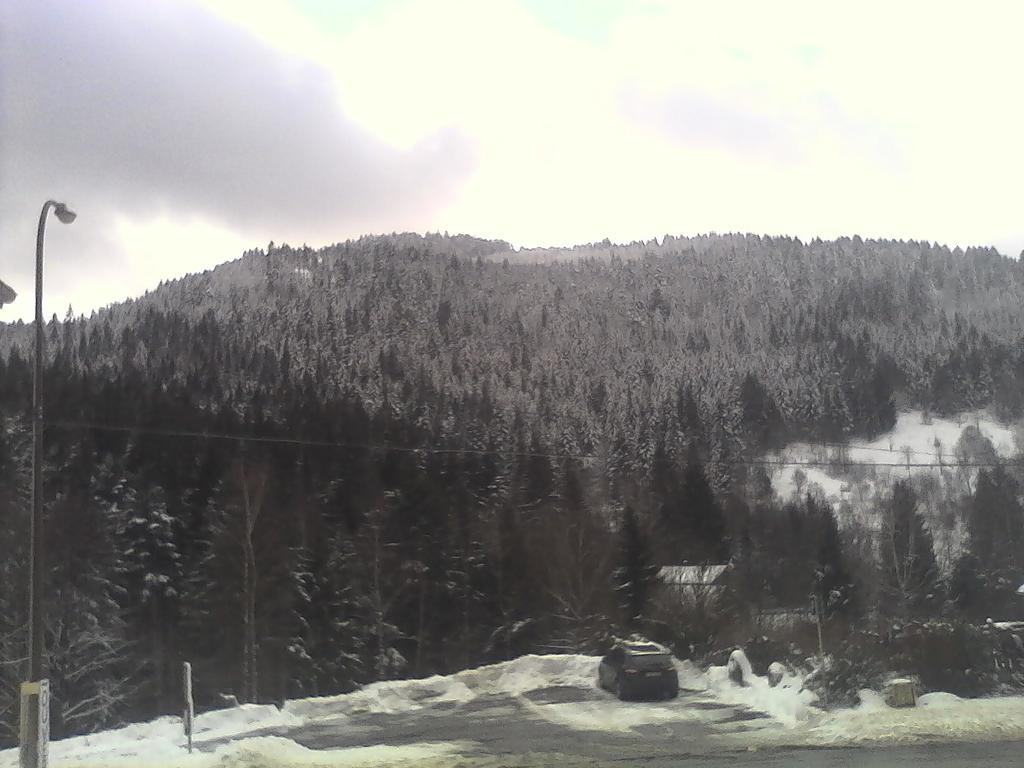 Gite De L'Ours La Bresse Esterno foto