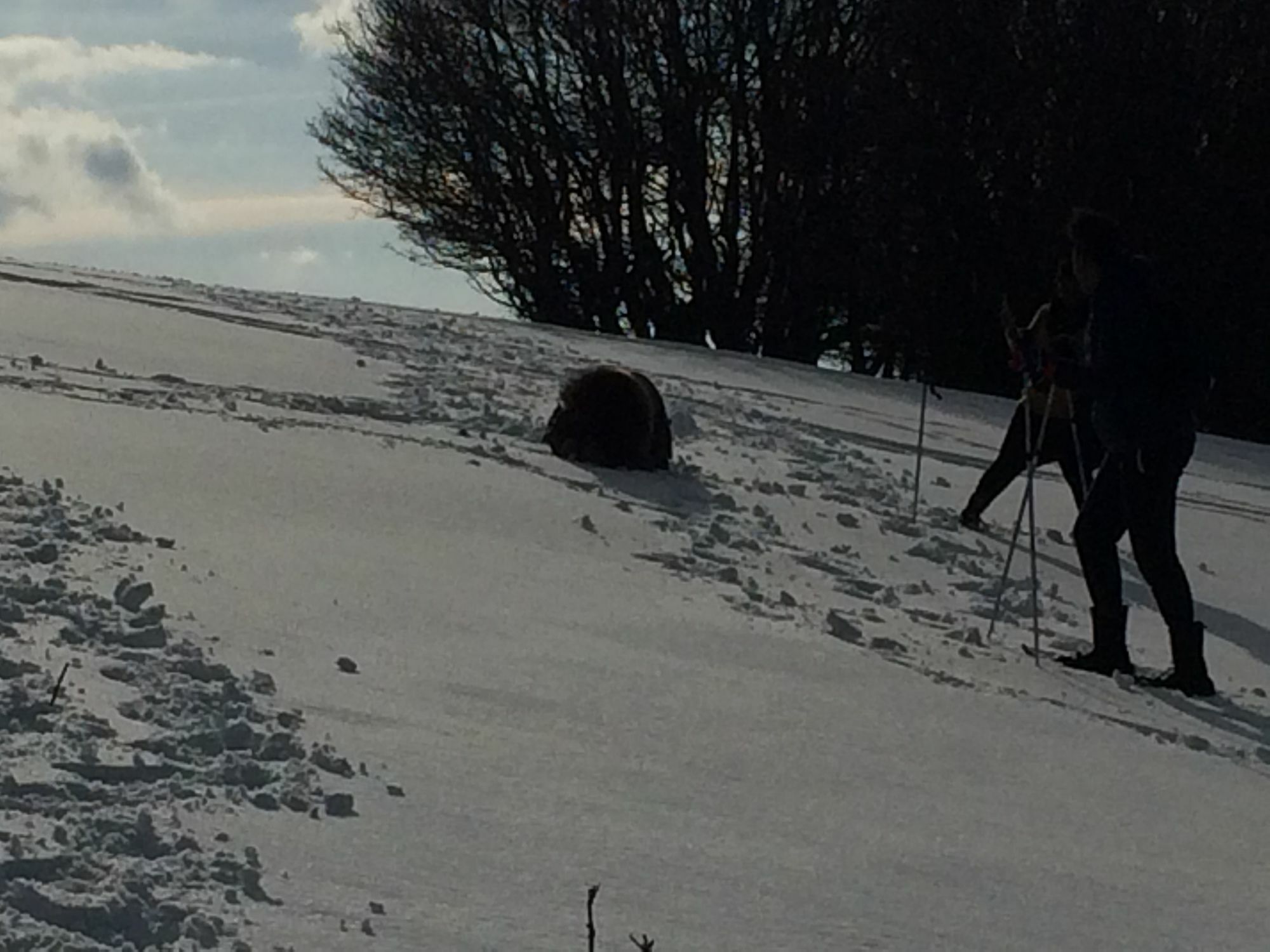 Gite De L'Ours La Bresse Esterno foto