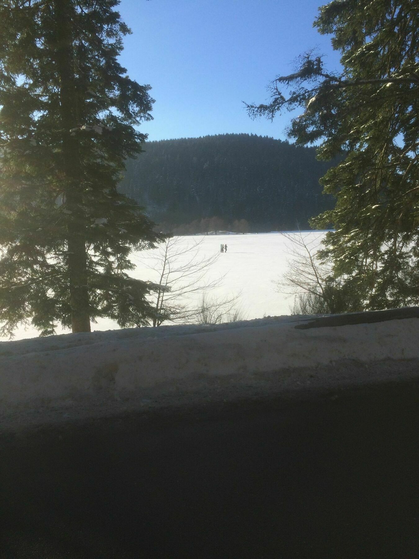Gite De L'Ours La Bresse Esterno foto